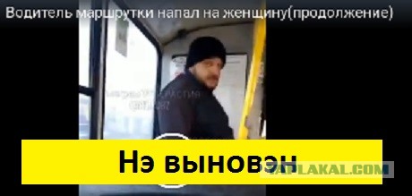 Водитель маршрутки напал на женщину (продолжение)