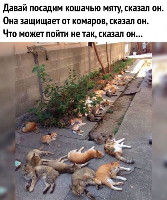 Так себе картинки 28.03.25