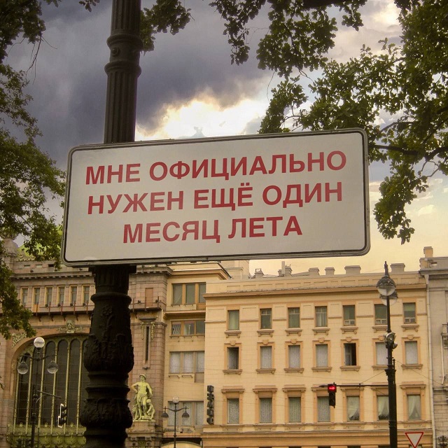 Весёлый полтишок 22.08.25
