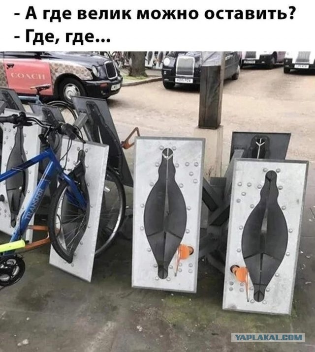 Баянистой пост