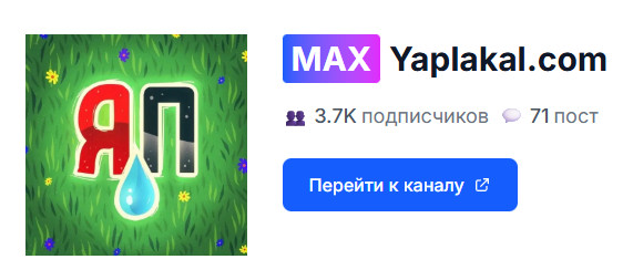 Telegram в РФ не заблокируют до переезда каналов в Мах