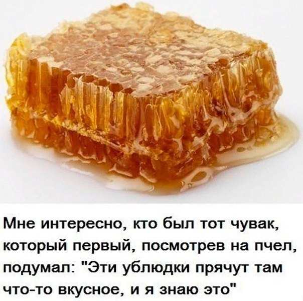 Мои избранные картинки часть 5