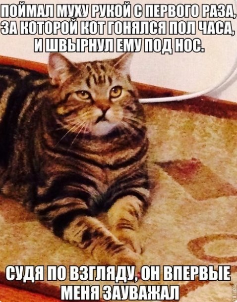20997706.jpg