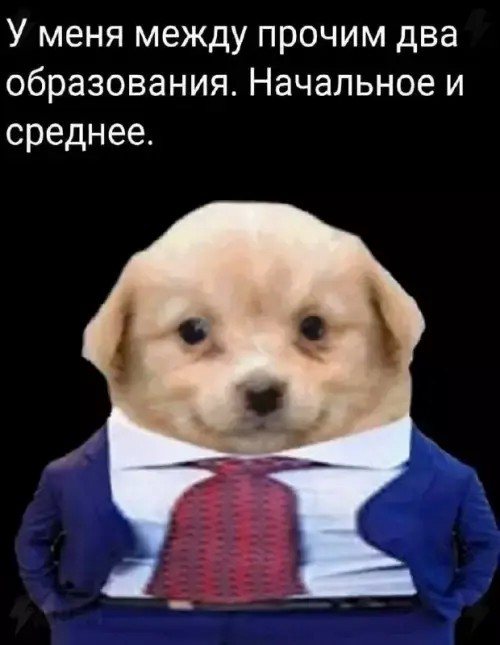 Потная гамсахурдия №4 (Картинки)