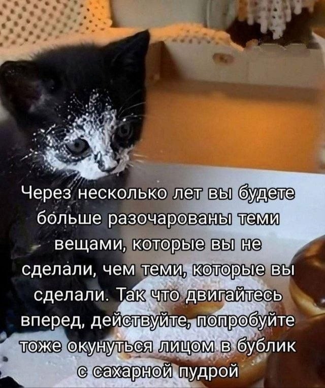 Картинки для деградации 262 (разной степени свежести)