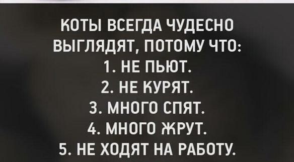 Обзор. Ищите в подворотнях
