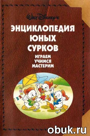 Укрытие от дождя в сосновом лесу