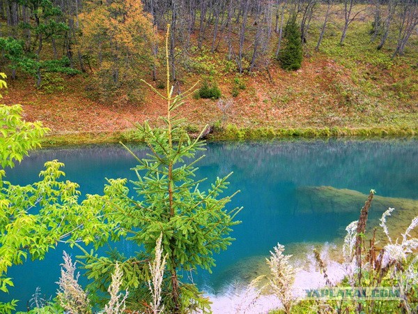 Озеро Каинды - Утонувший лес
