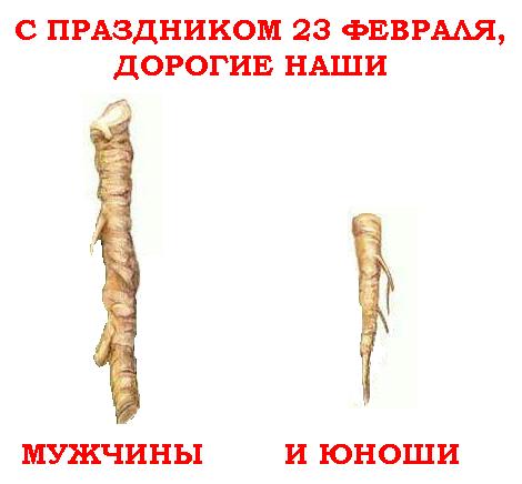 Очень тонкий юмор