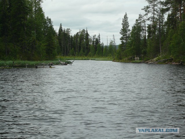 Две недели на Иовском водохранилище. Соколозеро.