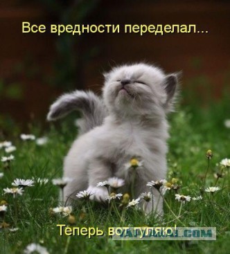 Кому отсыпать?