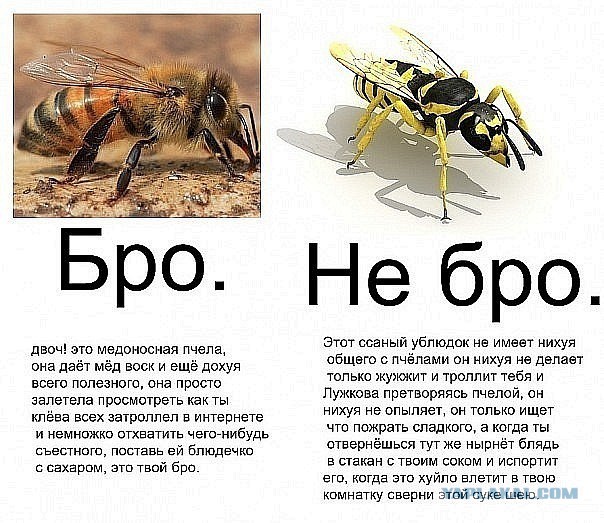 Главное, не открывать окно.