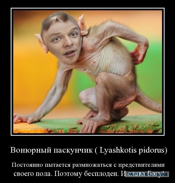 Фотошопная "фауна" Украинской Рады