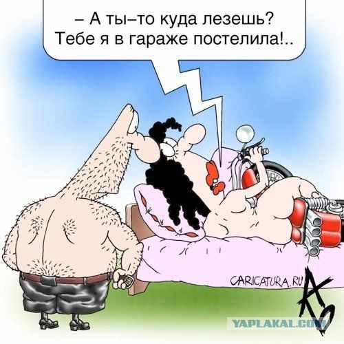 Робуста