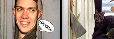 Кот разбил стекло