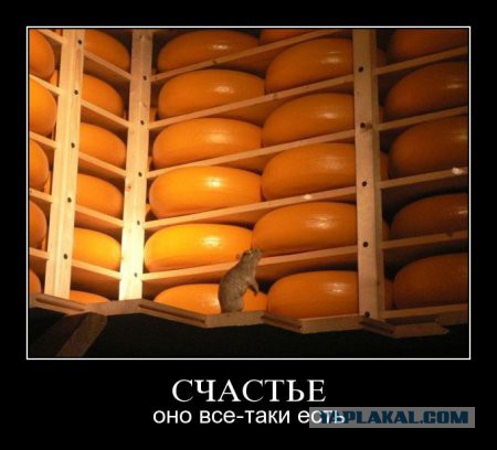 Немного чёрного юмора
