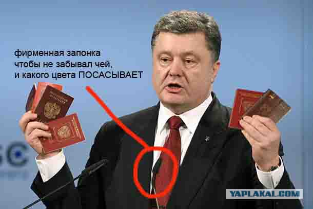 Ополченцы ДНР захватили в плен солдат ВСУ