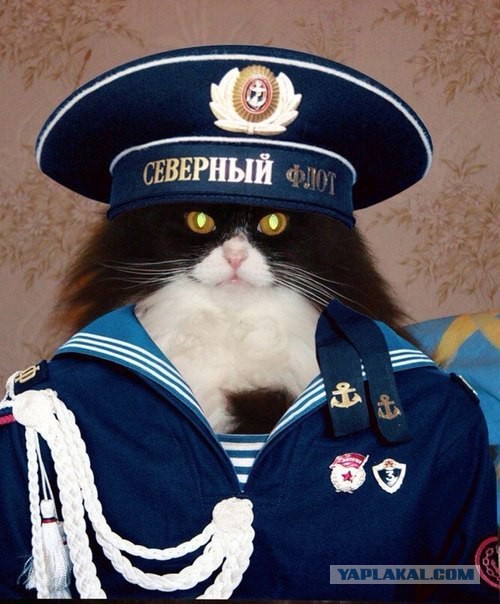 Вестник из соцсетей #9