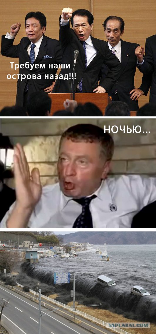 Tsunami: год спустя.