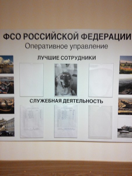 Ужасные и смешные фото из соц.сетей
