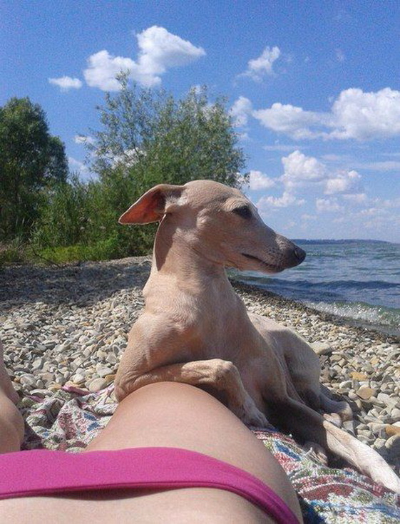 Позитив на воскресенье