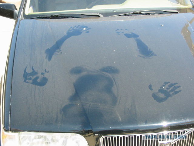 Рисунки на грязной машине