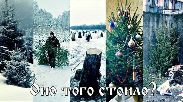 Картинки на утро вторника