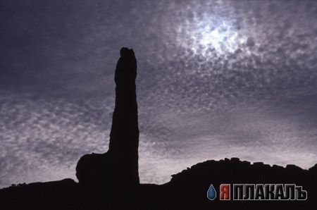 Эта сексуальная природа. РАСТЕНИЯ, ПЕЙЗАЖИ