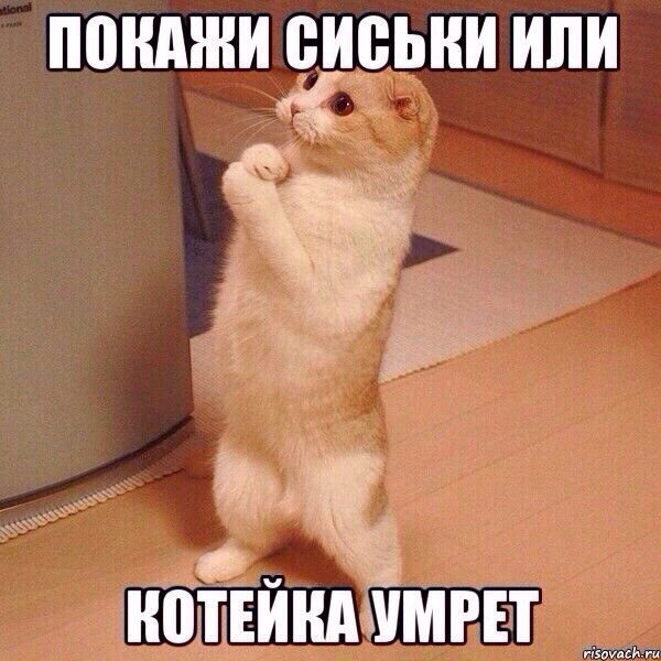 У меня грустные новости для соЯПовца. Слава Новиков тут есть?