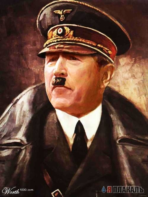 Все о БУШЕ