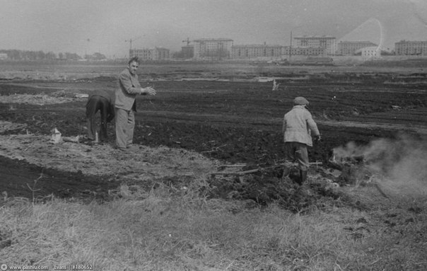 Деревенская Москва 60-х