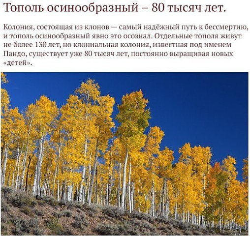 Картинки разные