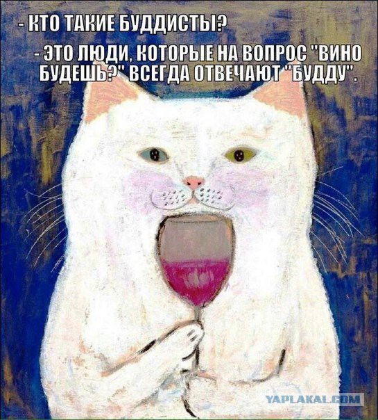 Смешные комментарии из социальных сетей 03.06.2016