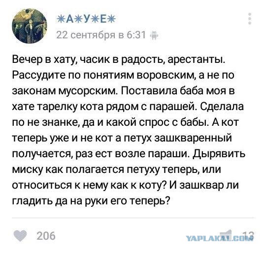 Ужасы и приколы из соцсетей 18+