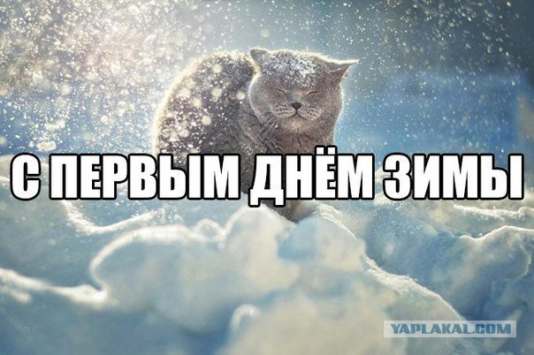 Футбол Чемпионат России 2016-17. Кубок России,РФПЛ,ФНЛ. Часть VIII
