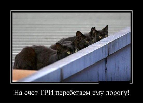 Картинки в черных рамках с подписями