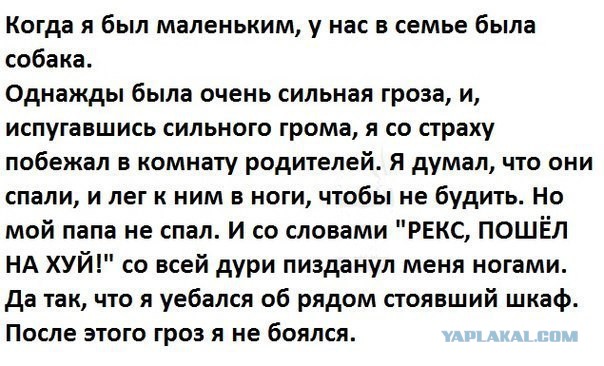 Смешные комментарии из социальных сетей 19.05.2017