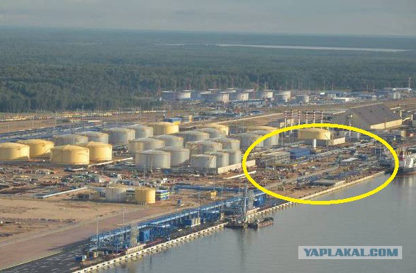 Угольно-чёрное царство в порту Усть-Луга