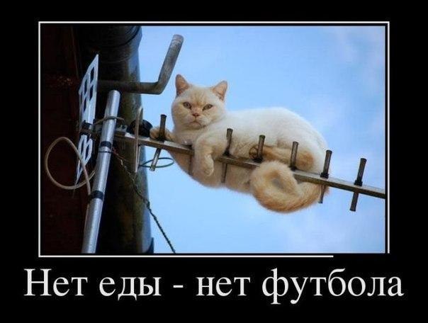 Подборка интересных и веселых картинок
