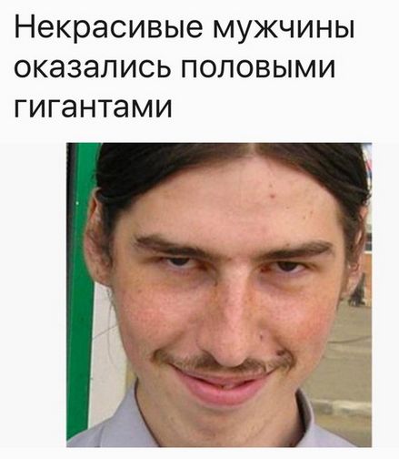 100 картинок для поднятия настроения!