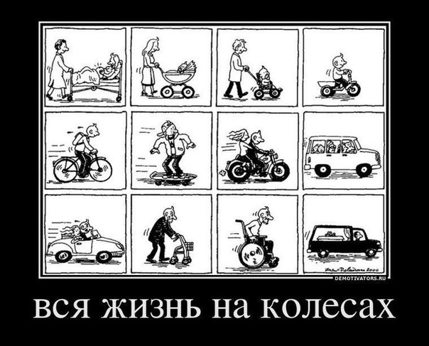 Подборка интересных и веселых картинок