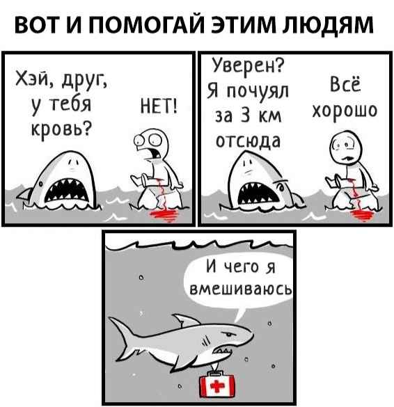 Не очень адекватный юмор