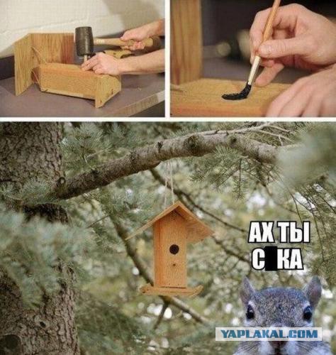 Немного картинок для настроения