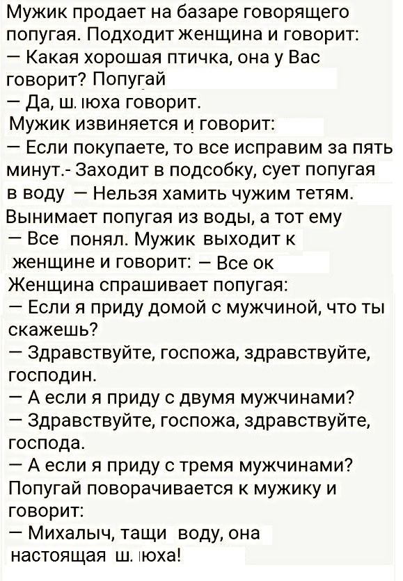 13140806.jpg