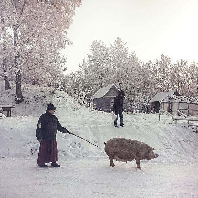 Жизнь в объективе фотографа Дмитрия Маркова