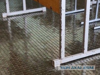 Потому что стоимость шайбы 1,5 рубля, вот почему