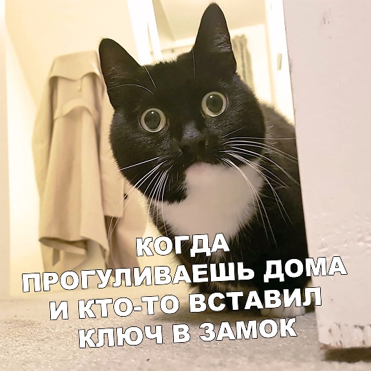 Картинки с надписями, истории и анекдоты 13.09.19
