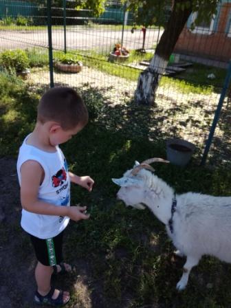 Каникулы в деревне