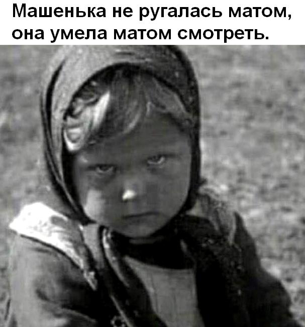 13522806.jpg
