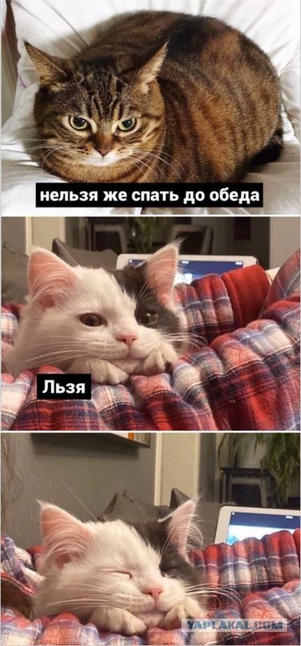 Немного картинок для настроения 23.06.20